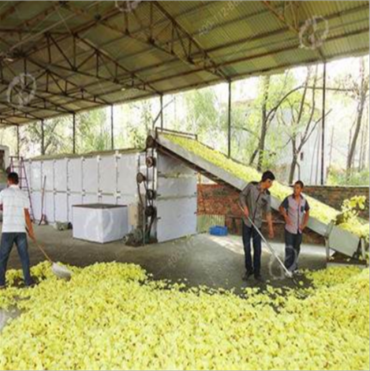 翻板烘干機(jī)